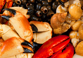 Les fruits de mer pour augmenter le pouvoir chez les hommes